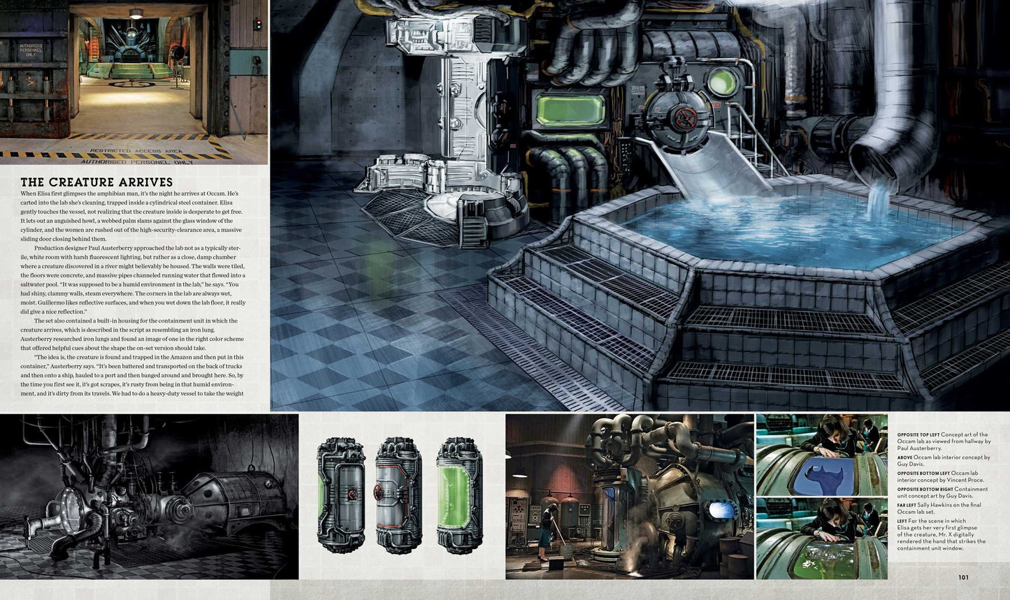 SHAPE OF WATER CREATING A FAIRY TALE FOR TROUBLED TIMES HC