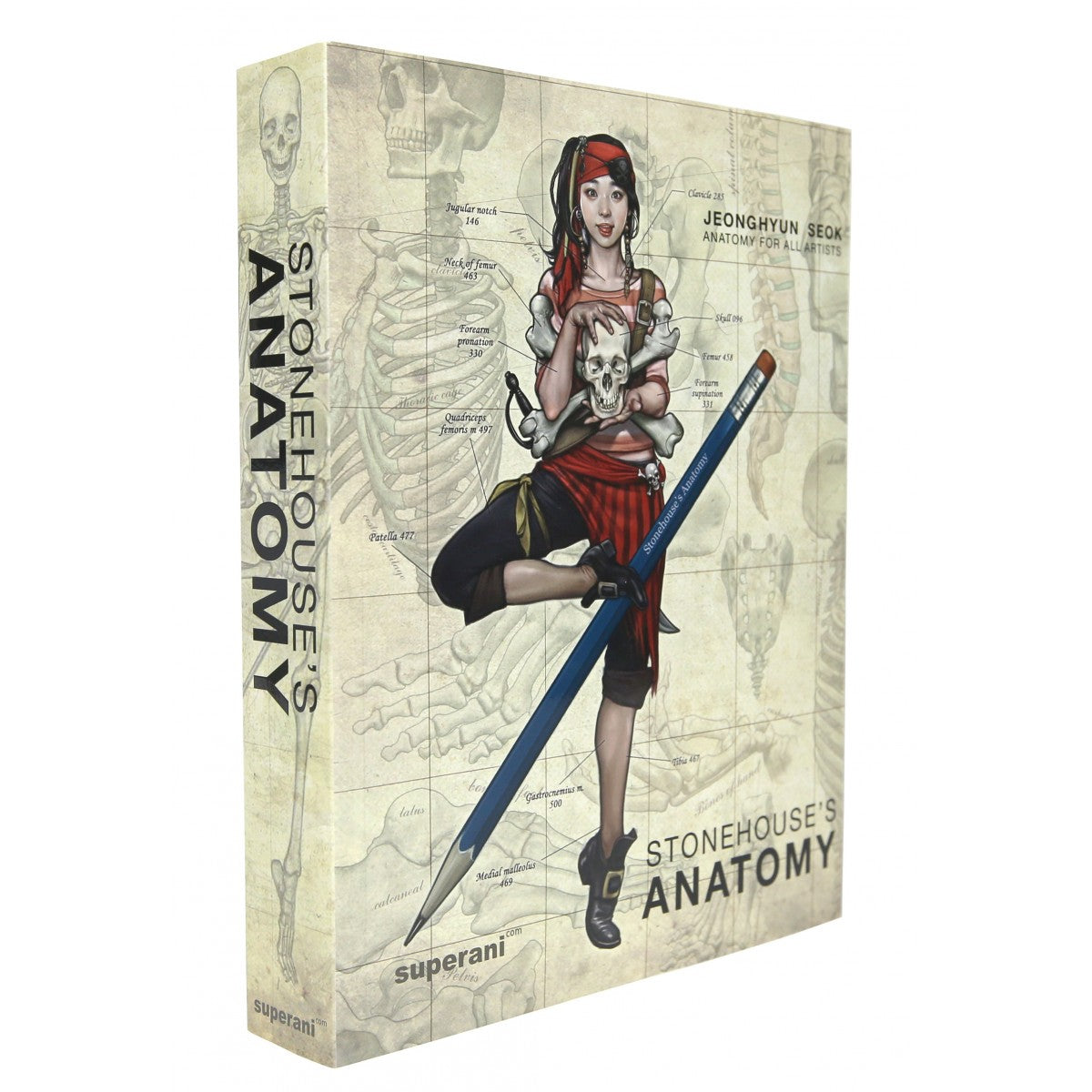Stonehouse Anatomy -IN STOCK