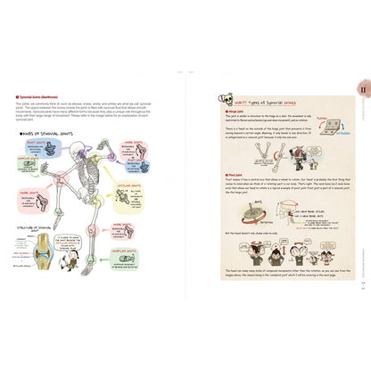 Stonehouse Anatomy -IN STOCK