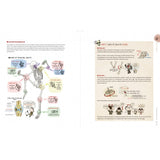 Stonehouse Anatomy -IN STOCK