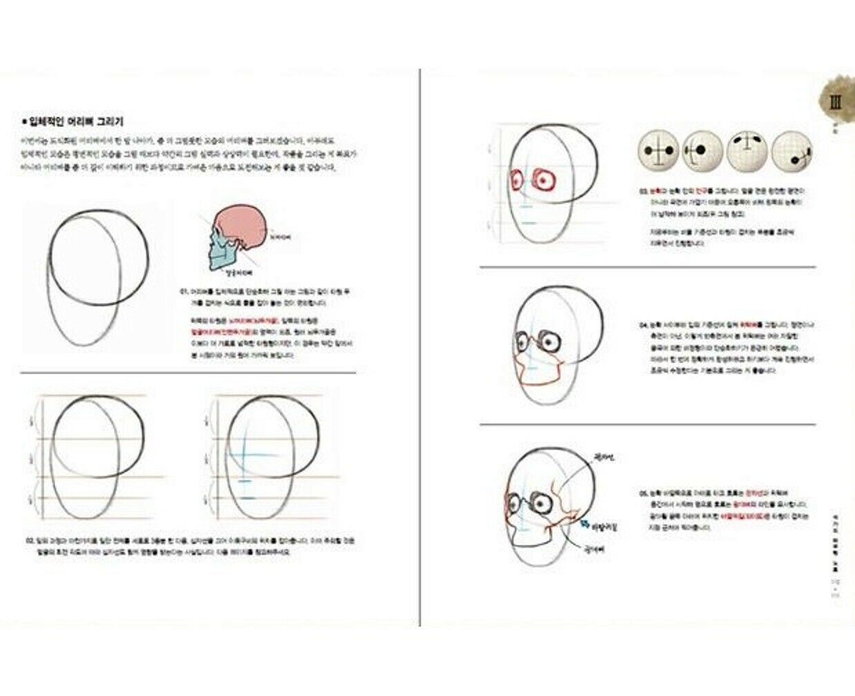 Stonehouse Anatomy -IN STOCK