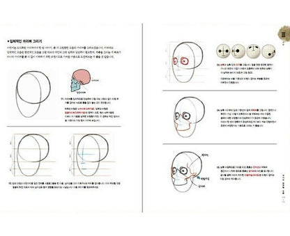Stonehouse Anatomy -IN STOCK