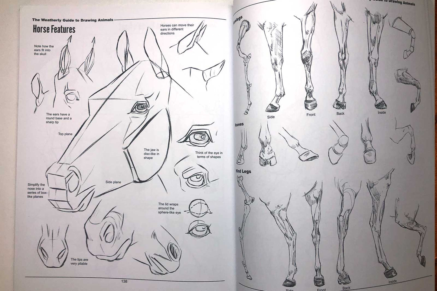 Joe Weatherly Guide to Drawing Animals (Signed Edition)