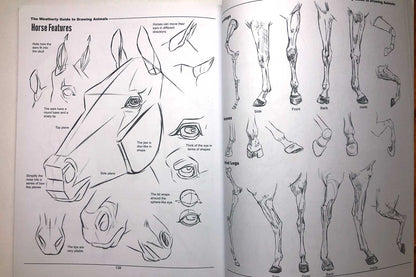 Joe Weatherly Guide to Drawing Animals (Signed Edition)