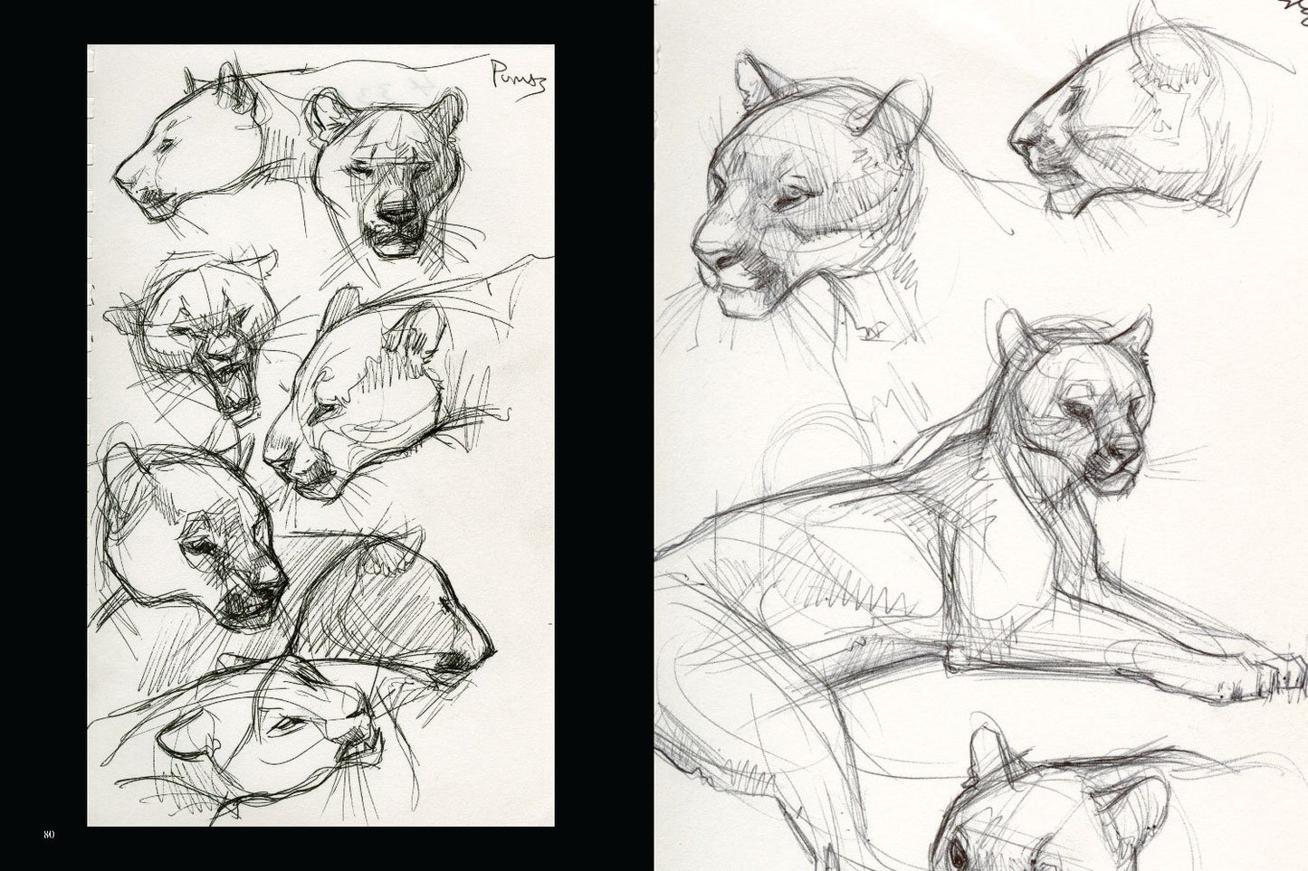JOE WEATHERLY SKETCHBOOK VOLUME 2 HC