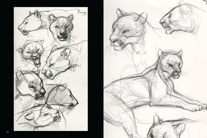 JOE WEATHERLY SKETCHBOOK VOLUME 2 HC