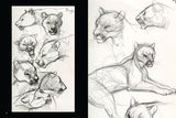 JOE WEATHERLY SKETCHBOOK VOLUME 2 HC